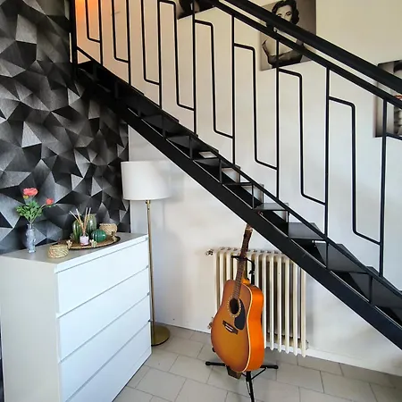 Need Is * 벨지라테