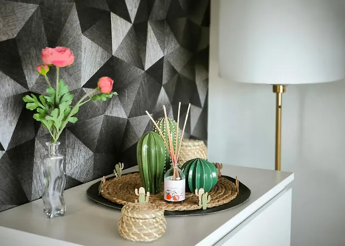 Need Is * 벨지라테