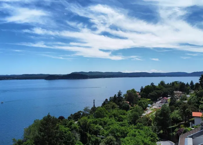 Need Is Бельджирате