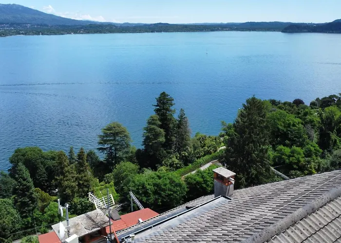 Need Is 벨지라테