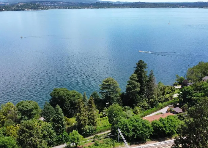 Need Is * Бельджирате